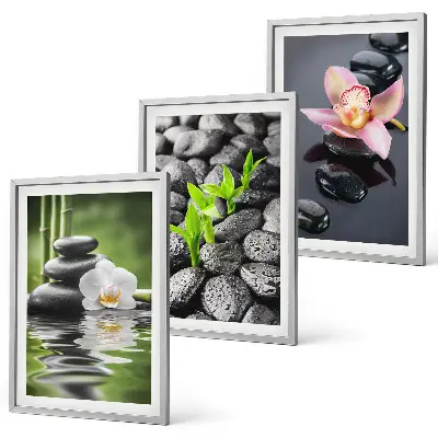 Set de 3 cuadros zen composición de flores y agua para salón