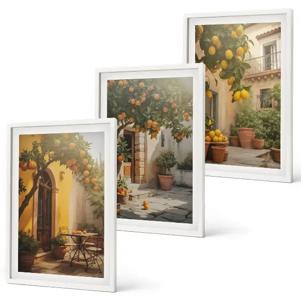 Set de 3 cuadros para salón con diseño de macetas de cítricos para patio soleado