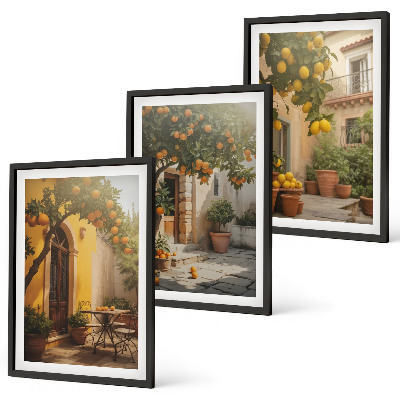 Set de 3 cuadros para salón Macetas de cítricos para patio soleado