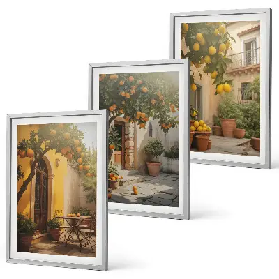 Set de 3 cuadros para salón con diseño de macetas de cítricos para patio soleado