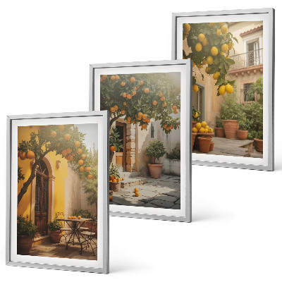 Set de 3 cuadros para salón Macetas de cítricos para patio soleado