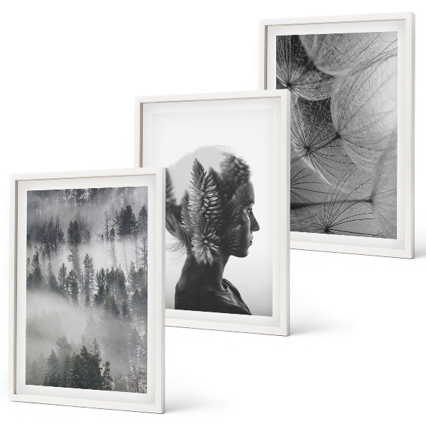 Juego de 3 cuadros Niebla del bosque retrato árbol diente de león