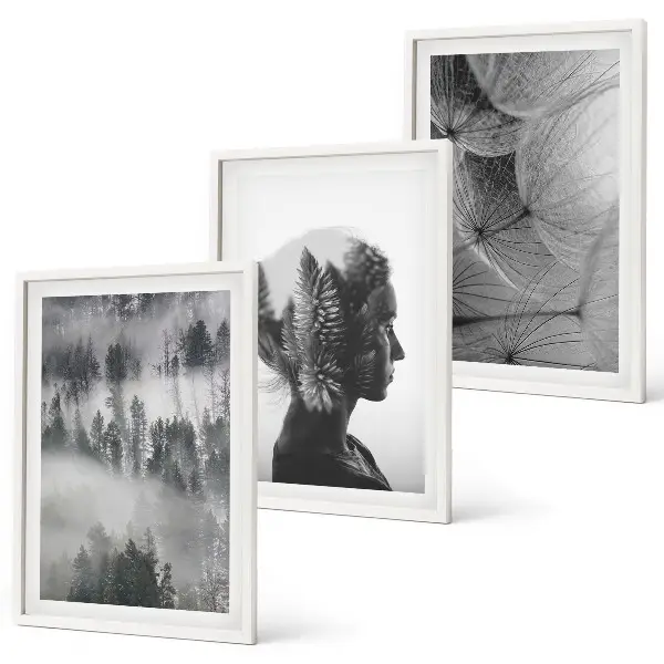 Juego de 3 cuadros retrato de bosque con niebla, árbol y diente de león