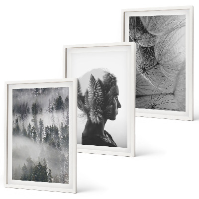 Juego de 3 cuadros Niebla del bosque retrato árbol diente de león