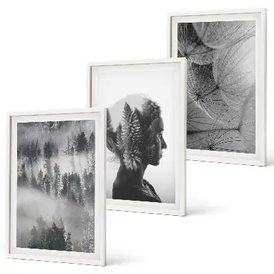 Juego de 3 cuadros retrato de bosque con niebla, árbol y diente de león