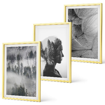Juego de 3 cuadros Niebla del bosque retrato árbol diente de león