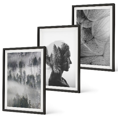 Juego de 3 cuadros Niebla del bosque retrato árbol diente de león