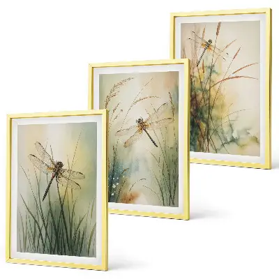 Set de 3 cuadros de hierbas y libélulas sobre el agua decoración para salón