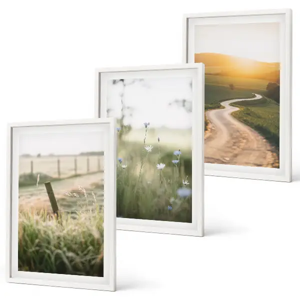 Set de 3 cuadros para salón con diseño de camino de pradera paisajística hacia el oeste
