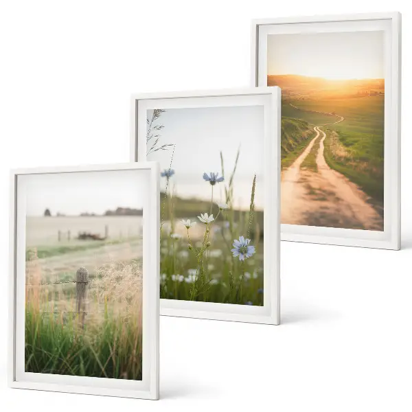Juego de 3 cuadros paisajes de naturaleza con campos y senderos
