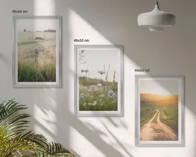 Juego de 3 cuadros paisajes de naturaleza con campos y senderos