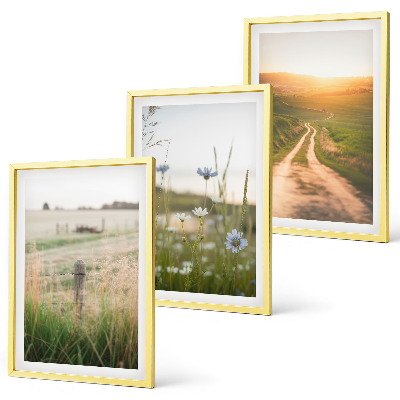 Juego de 3 cuadros Paisajes, naturaleza, campos, sendero