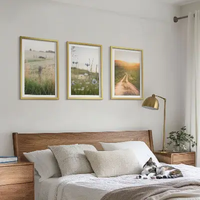 Juego de 3 cuadros paisajes de naturaleza con campos y senderos
