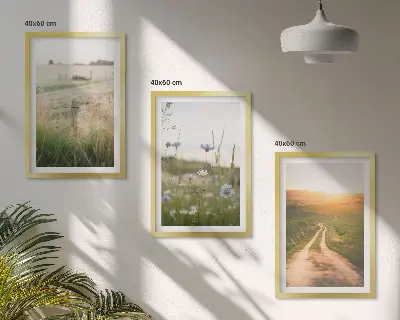 Juego de 3 cuadros paisajes de naturaleza con campos y senderos