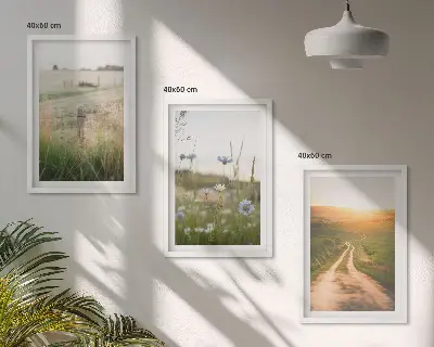 Juego de 3 cuadros paisajes de naturaleza con campos y senderos