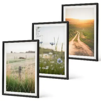 Juego de 3 cuadros paisajes de naturaleza con campos y senderos