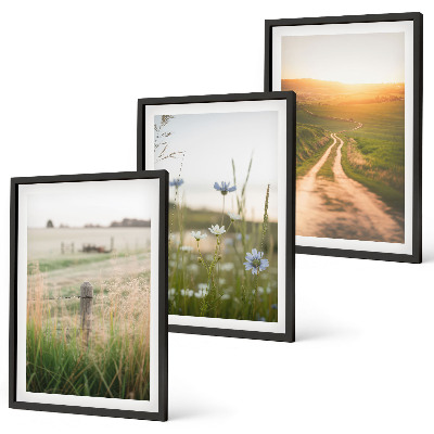 Juego de 3 cuadros Paisajes, naturaleza, campos, sendero