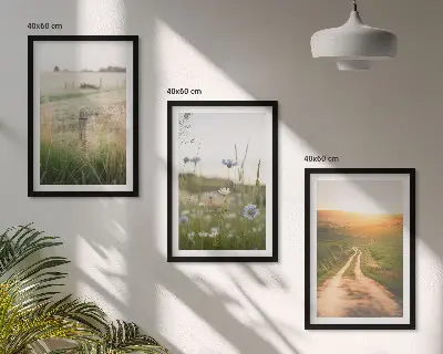 Juego de 3 cuadros paisajes de naturaleza con campos y senderos