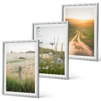 Juego de 3 cuadros paisajes de naturaleza con campos y senderos