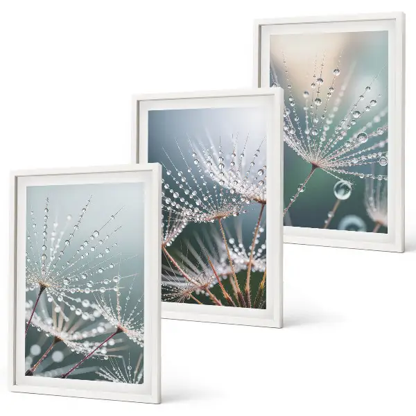 Set de 3 cuadros para salón con gotas de agua sobre brotes de diente de león