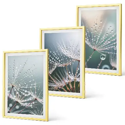 Set de 3 cuadros para salón con gotas de agua sobre brotes de diente de león