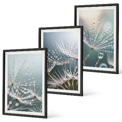 Set de 3 cuadros para salón con gotas de agua sobre brotes de diente de león