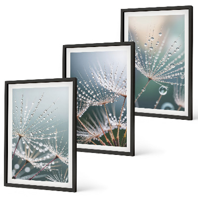 Set de 3 cuadros para salón Gotas de agua sobre brotes de diente de león