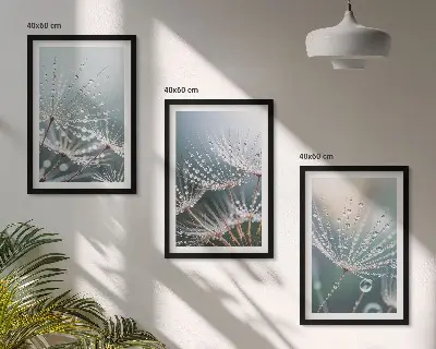 Set de 3 cuadros para salón con gotas de agua sobre brotes de diente de león