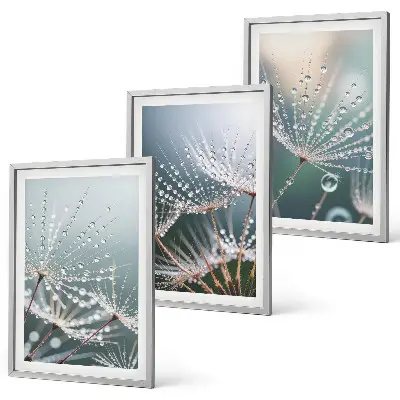 Set de 3 cuadros para salón con gotas de agua sobre brotes de diente de león