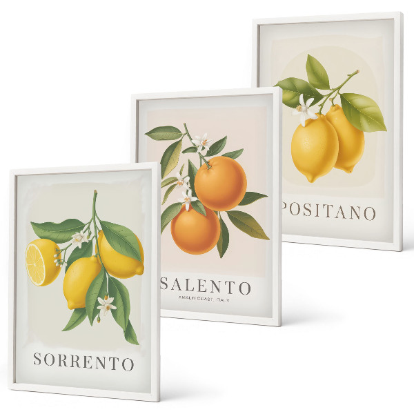 Set de 3 cuadros para salón Limones y naranjas de Amalfi