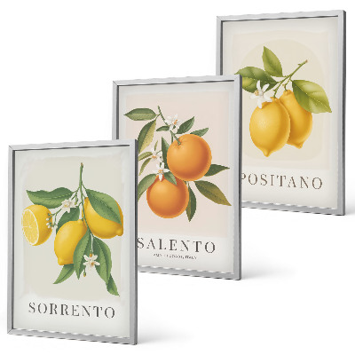Set de 3 cuadros para salón Limones y naranjas de Amalfi