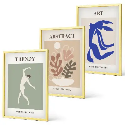 Set de 3 cuadros para salón con diseño de figuras vegetales de Matisse
