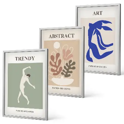 Set de 3 cuadros para salón con diseño de figuras vegetales de Matisse