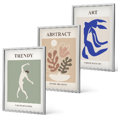 Set de 3 cuadros para salón Las elegantes figuras vegetales de Matisse