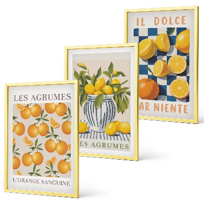 Set de 3 cuadros para salón Frutas cítricas amarillas retro