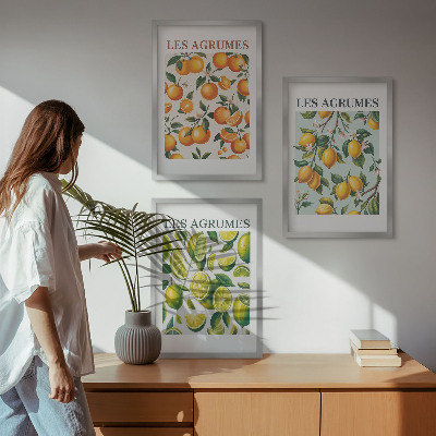 Juego de 3 cuadros patrones pastel de cítricos frutales