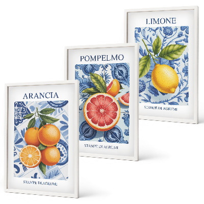 Juego de 3 cuadros Ilustraciones vintage de cítricos