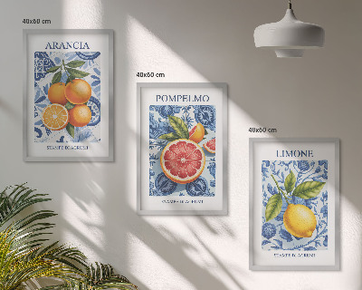 Juego de 3 cuadros Ilustraciones vintage de cítricos