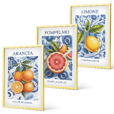 Juego de 3 cuadros Ilustraciones vintage de cítricos