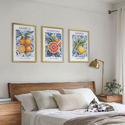 Juego de 3 cuadros Ilustraciones vintage de cítricos