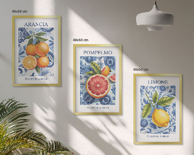 Juego de 3 cuadros Ilustraciones vintage de cítricos