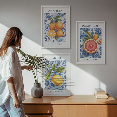 Juego de 3 cuadros Ilustraciones vintage de cítricos