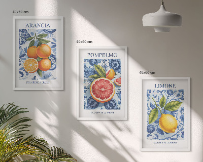 Juego de 3 cuadros Ilustraciones vintage de cítricos