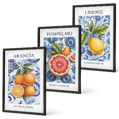 Juego de 3 cuadros Ilustraciones vintage de cítricos