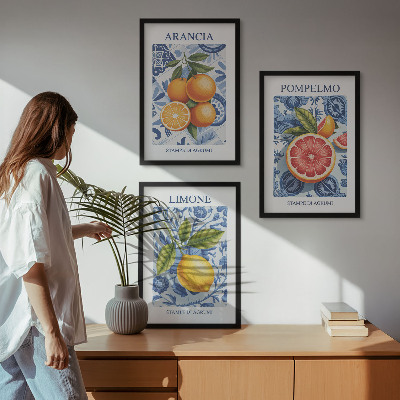 Juego de 3 cuadros Ilustraciones vintage de cítricos