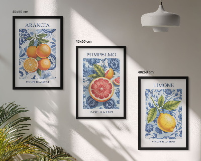 Juego de 3 cuadros Ilustraciones vintage de cítricos
