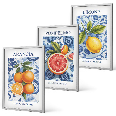 Juego de 3 cuadros Ilustraciones vintage de cítricos