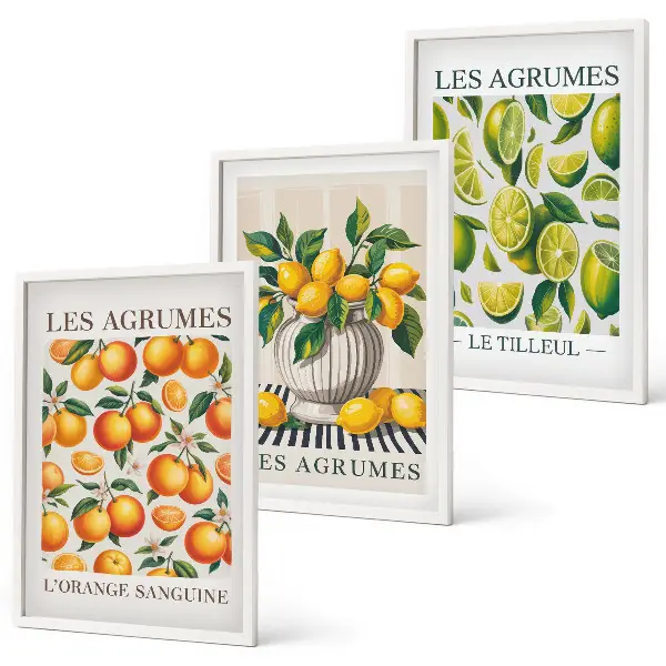 Set de 3 cuadros para salón con diseño de frutas cítricas en versiones coloridas