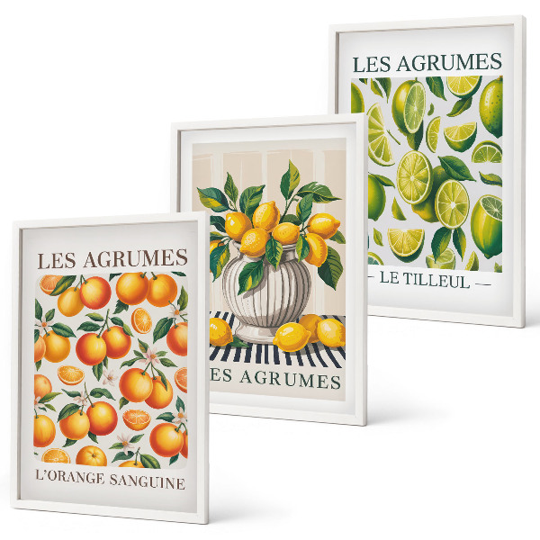 Set de 3 cuadros para salón Frutas cítricas en versiones coloridas