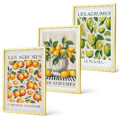 Set de 3 cuadros para salón con diseño de frutas cítricas en versiones coloridas